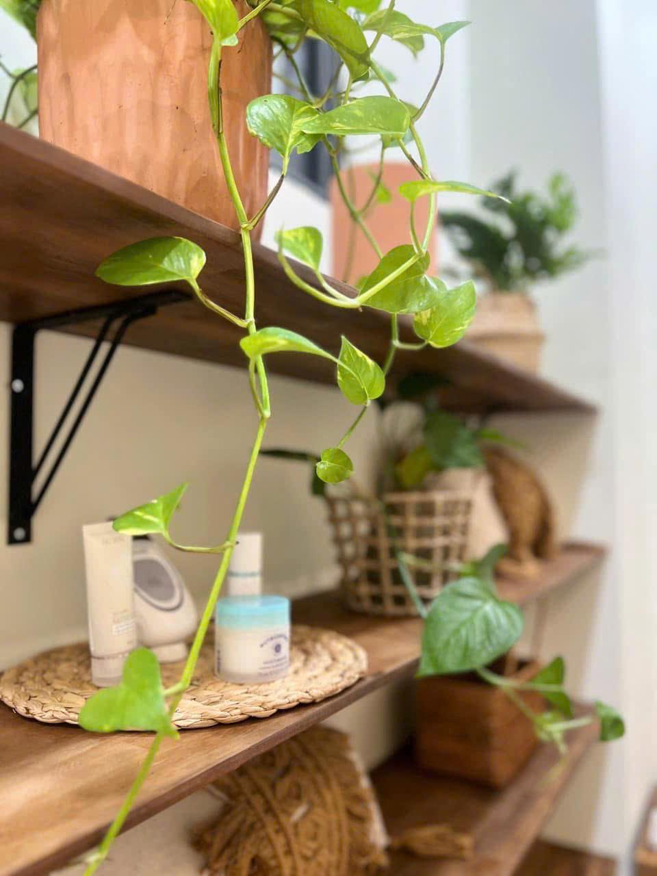 Community activity 44