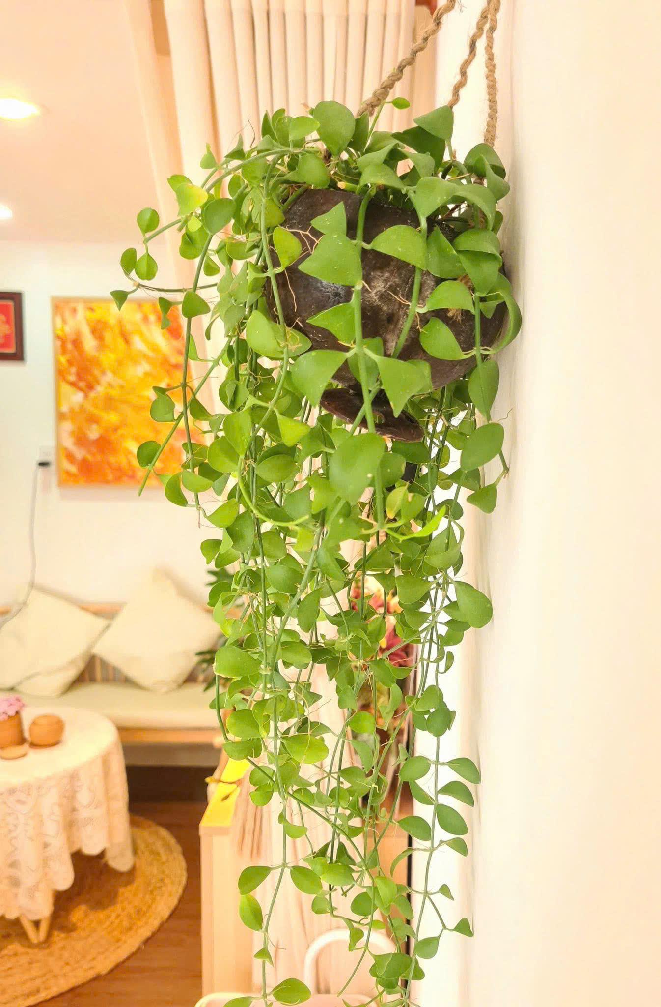 Community activity 70