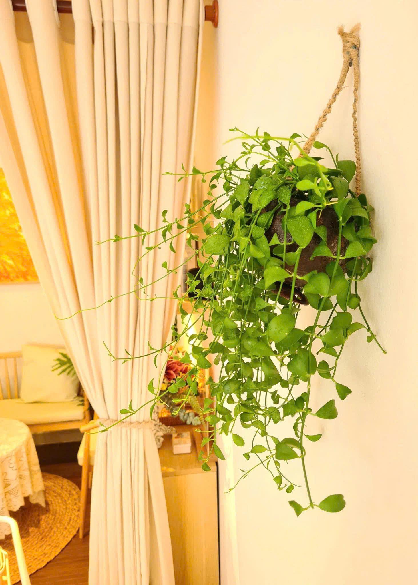 Community activity 71